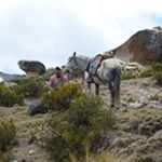 Profile Picture of Dionicio Jhonny Buitron Molina (@dioniciojhonnybuitron) on Instagram