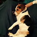 Profile Picture of Edwin Shaw (@shaw_edwin) on Instagram