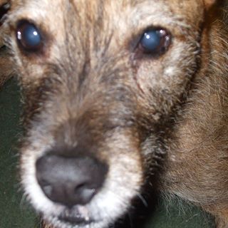 Profile Picture of Ray Stachnik (@ray.stachnik) on Facebook