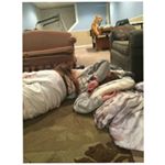 Profile Picture of Lisa Strohm (@shorty_2106) on Instagram