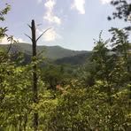 Profile Picture of John Harruff (@john.harruff) on Facebook