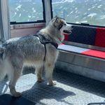 Profile Picture of Dawn Malone (@malonedawn7) on Instagram