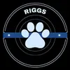 Profile Picture of Riggs (@riggsthespaniel) on Tiktok