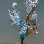 Profile Picture of glenstanford😰 (@glen_stan) on Instagram