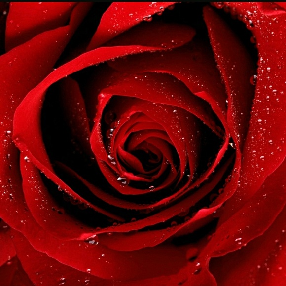 Profile Picture of Melissa Hanesworth (@melissajoyh) on Poshmark