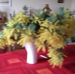 Profile Picture of Danielle Perrot (@Danielle-Perrot) on Facebook