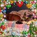Profile Picture of Debbie Gauthier (@debbie.gauthier.754) on Facebook