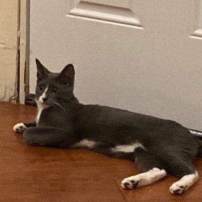 Profile Picture of Catherine Espinal (@Catheri00531293) on Twitter