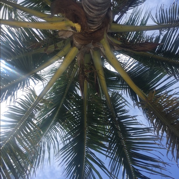 Profile Picture of Dabney Leverty (@dabneylev) on Poshmark