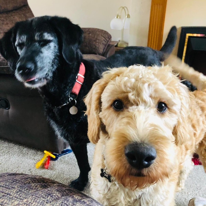 Profile Picture of colette kelly (@@lette86) on Tiktok