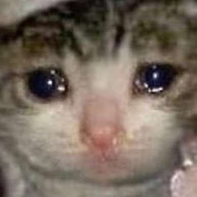 Profile Picture of Retweeter🇯🇲🇩🇪 (@JayFrazer2) on Twitter