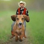 Profile Picture of Steven Basinger (@stevenbasinger) on Instagram