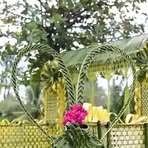 Profile Picture of Mike Zegler (@Mike-Zegler) on Facebook