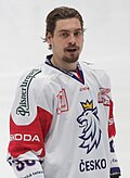 Profile Picture of David Tomášekon Wikipedia