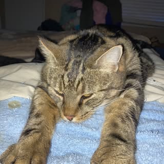 Profile Picture of Dawn Woolley (@dawn_woolley) on Instagram