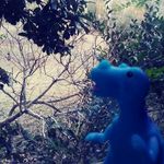 Profile Picture of wyatt the dino (@wyatts_wild_ride) on Instagram