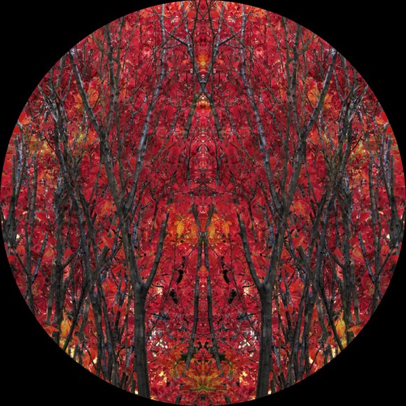 Profile Picture of C Rogers (@andoras) on Poshmark