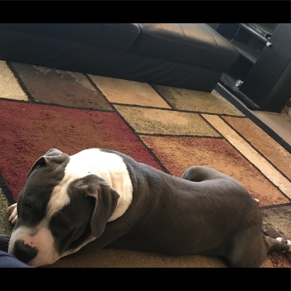 Profile Picture of Mario Peña (@mana2x) on Poshmark