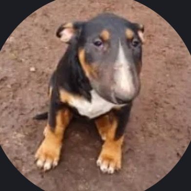 Profile Picture of eric🪤 (@eric.pepega) on Tiktok