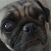 Profile Picture of Erik Bateman (@erik.bateman.587) on Facebook