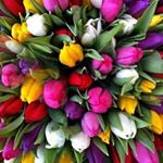 Profile Picture of Cheree Smith (@cherees_happy) on Instagram