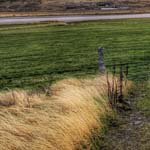 Profile Picture of Ross_Batchelor (@ross_batchelorg) on Instagram