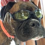 Profile Picture of Bill Loftus (@bill.loftus.5) on Instagram