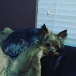 Profile Picture of Carson Gray (@carsonwilliam200) on Instagram