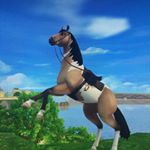 Profile Picture of 🔥star Stable Online🔥 (@pamela._.mysterybird) on Instagram