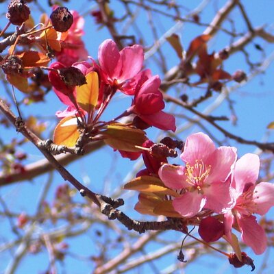 Profile Picture of Jerry Arnold (@jdawgsplace) on Twitter