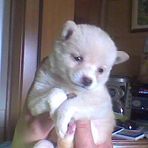 Daniel Strutz - Facebook Profile Picture of Daniel Strutz (@Daniel-Strutz) on Facebook