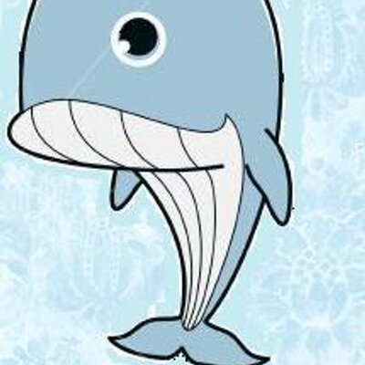 Profile Picture of Devin McCabe (@wishforwhales) on Twitter