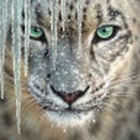 Profile Picture of Chasity Clay (@chasity-clay-3) on Quora