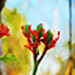 Profile Picture of Mark Anthony Halton (@ztnar) on Flickr