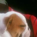 Profile Picture of Lorna Mcdougall-boud (@marvalousmumma69) on Instagram
