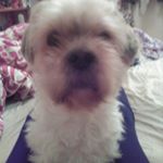 Profile Picture of toby quinn (@quinn.toby) on Instagram