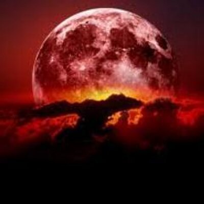 Profile Picture of Brandon Adair (@BAdair4200) on Twitter