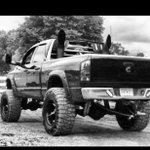 Profile Picture of aaron kovach (@kovach64) on Instagram