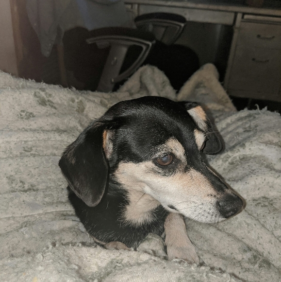 Profile Picture of Michael Max (@michaelmax) on Poshmark