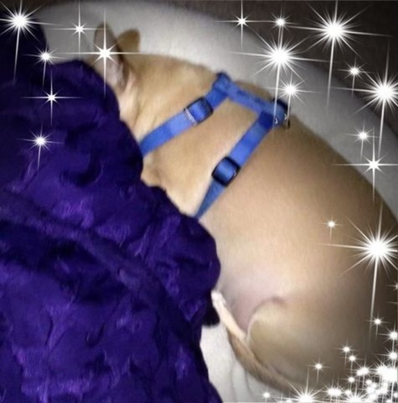 Profile Picture of Joy Gore (@joygore) on Poshmark