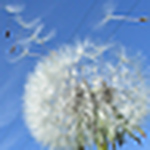 Profile Picture of steve ford (@fordio2012) on Flickr