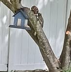 Debbie Phillips - Facebook Profile Picture of Debbie Phillips (@debbie.phillips.721957) on Facebook