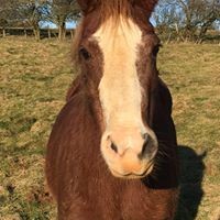 Profile Picture of Sam Harrington (@sam-harrington-15) on Quora