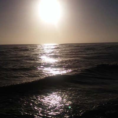 Profile Picture of Robert D Hillis (@Dave_Hillis) on Twitter