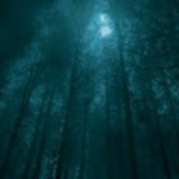 Profile Picture of Sam Fleming (@samfleming381) on Poshmark