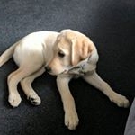 Profile Picture of Christopher Galloway (@galloway1057) on Instagram