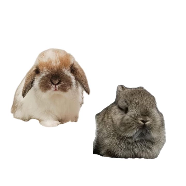 Profile Picture of jimmy_judy (@jimmy_judy) on Tiktok