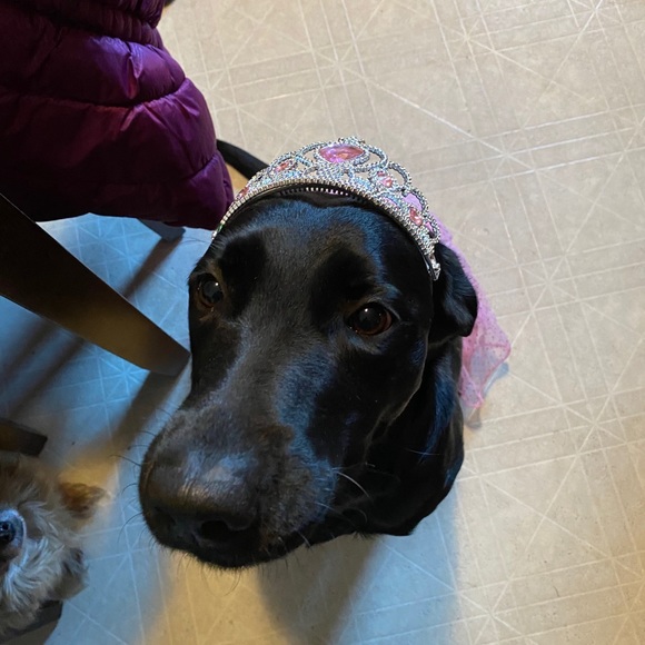 Profile Picture of Tiffany Witkowski (@tiffanywitkowsk) on Poshmark