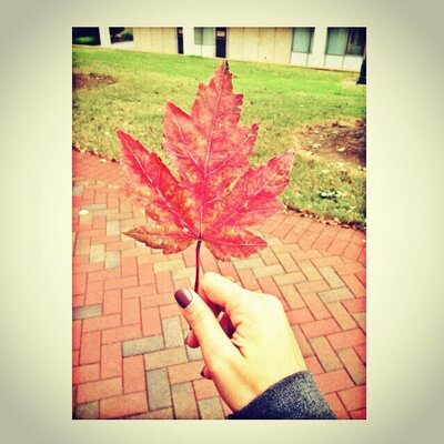 Profile Picture of Tanner Simon (@Engl1101Simon) on Twitter