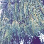 Profile Picture of Brad Tullo (@bradleytullophotography) on Instagram